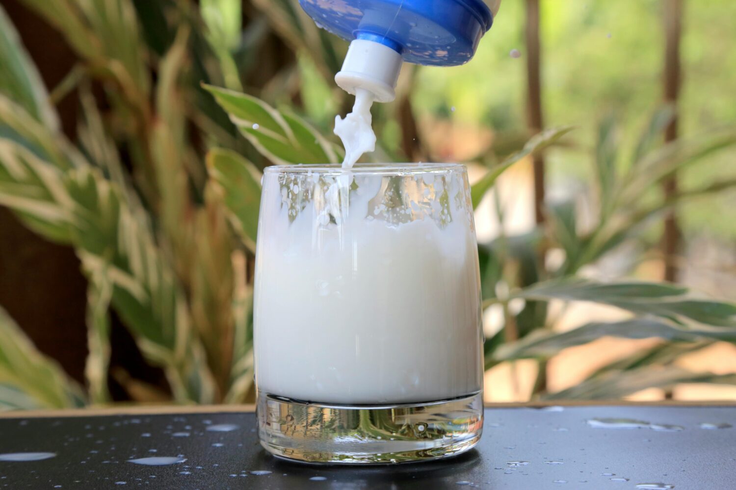Resep Scrub dari Susu
