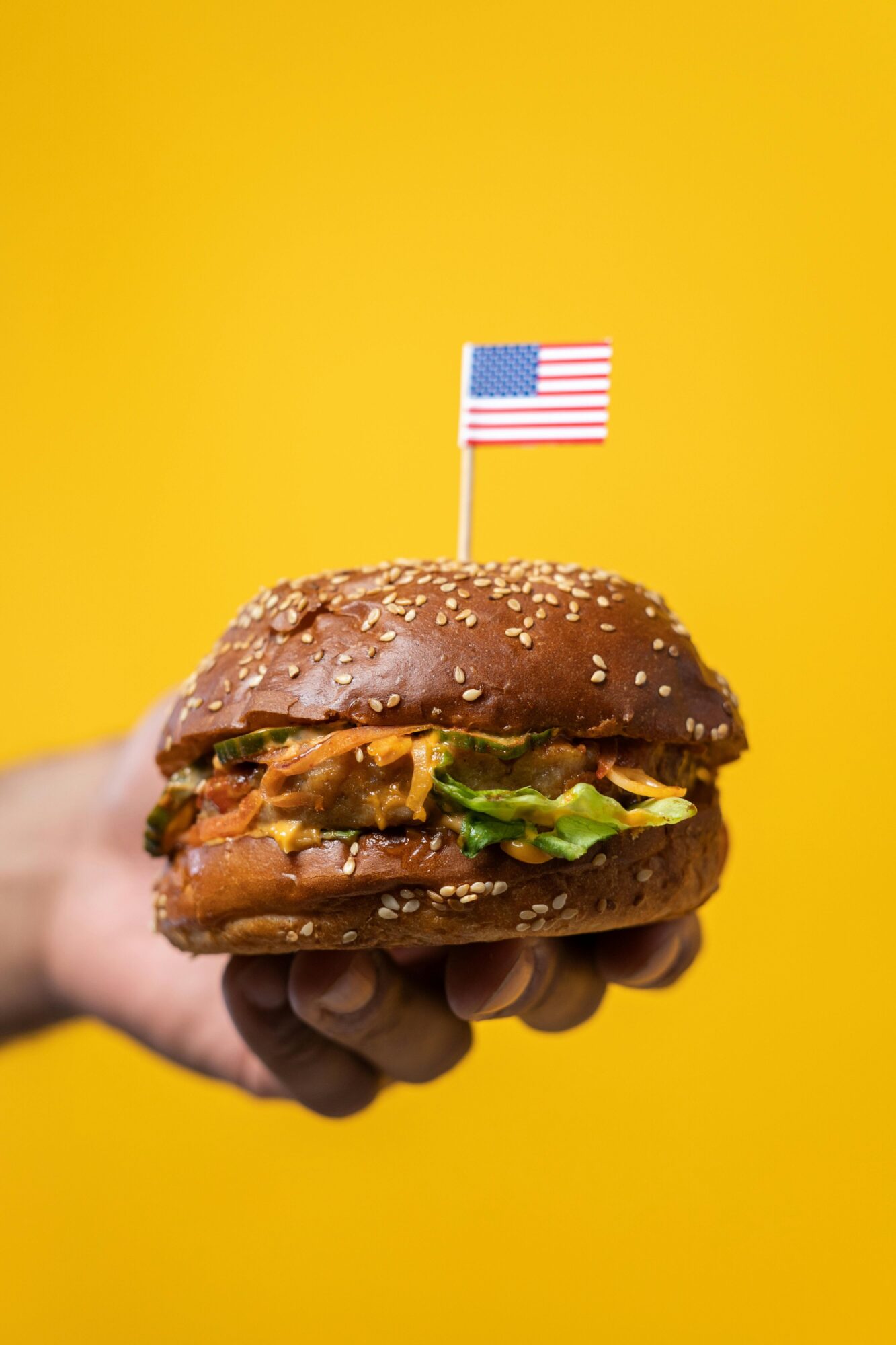 Junk Food yang Dilarang