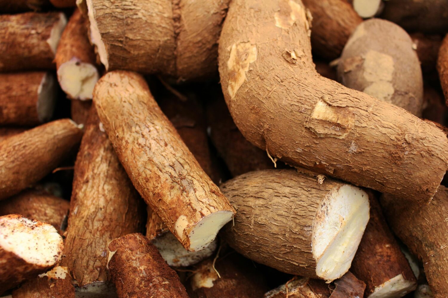 Mitos Singkong