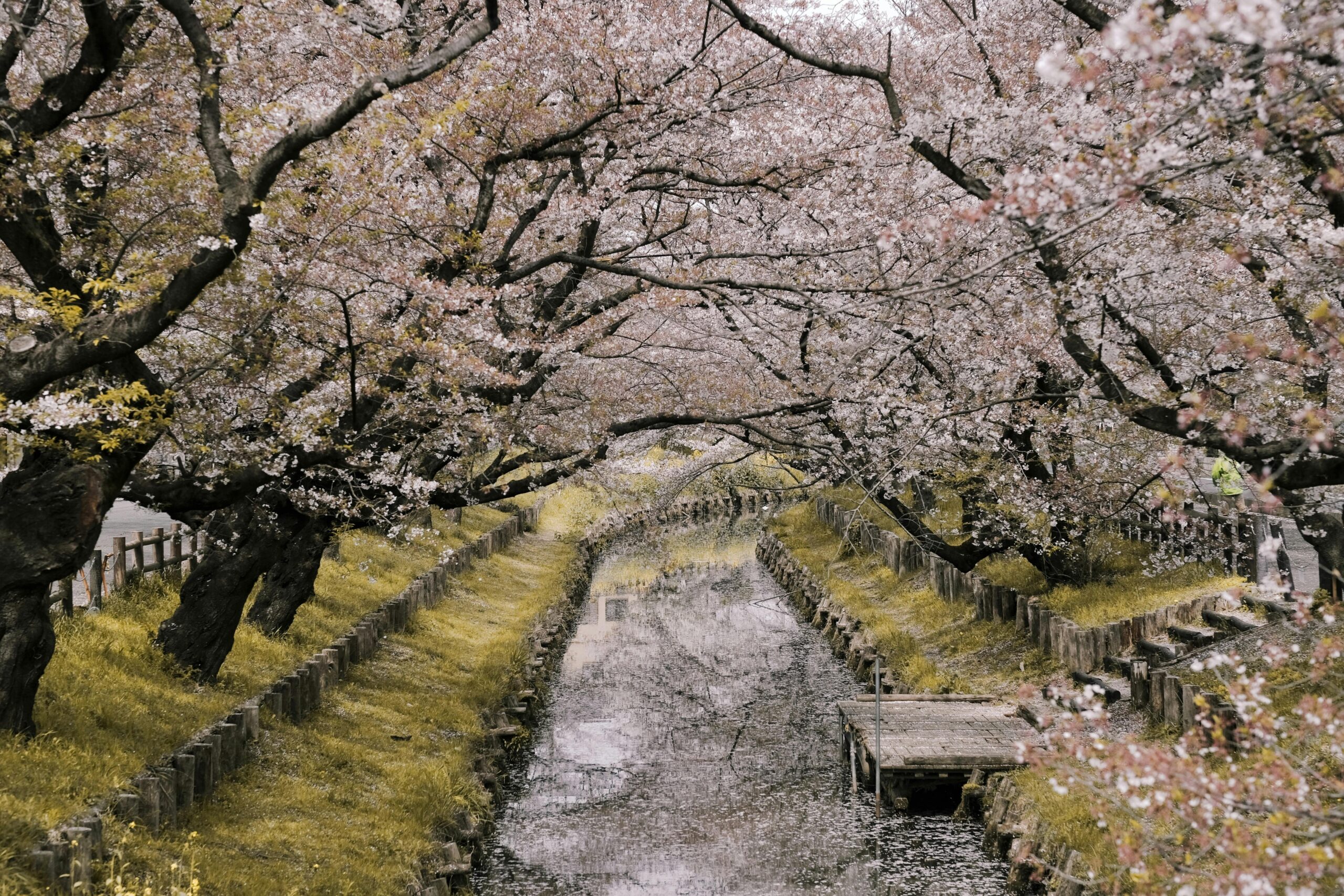 Kesalahan Liburan ke Jepang