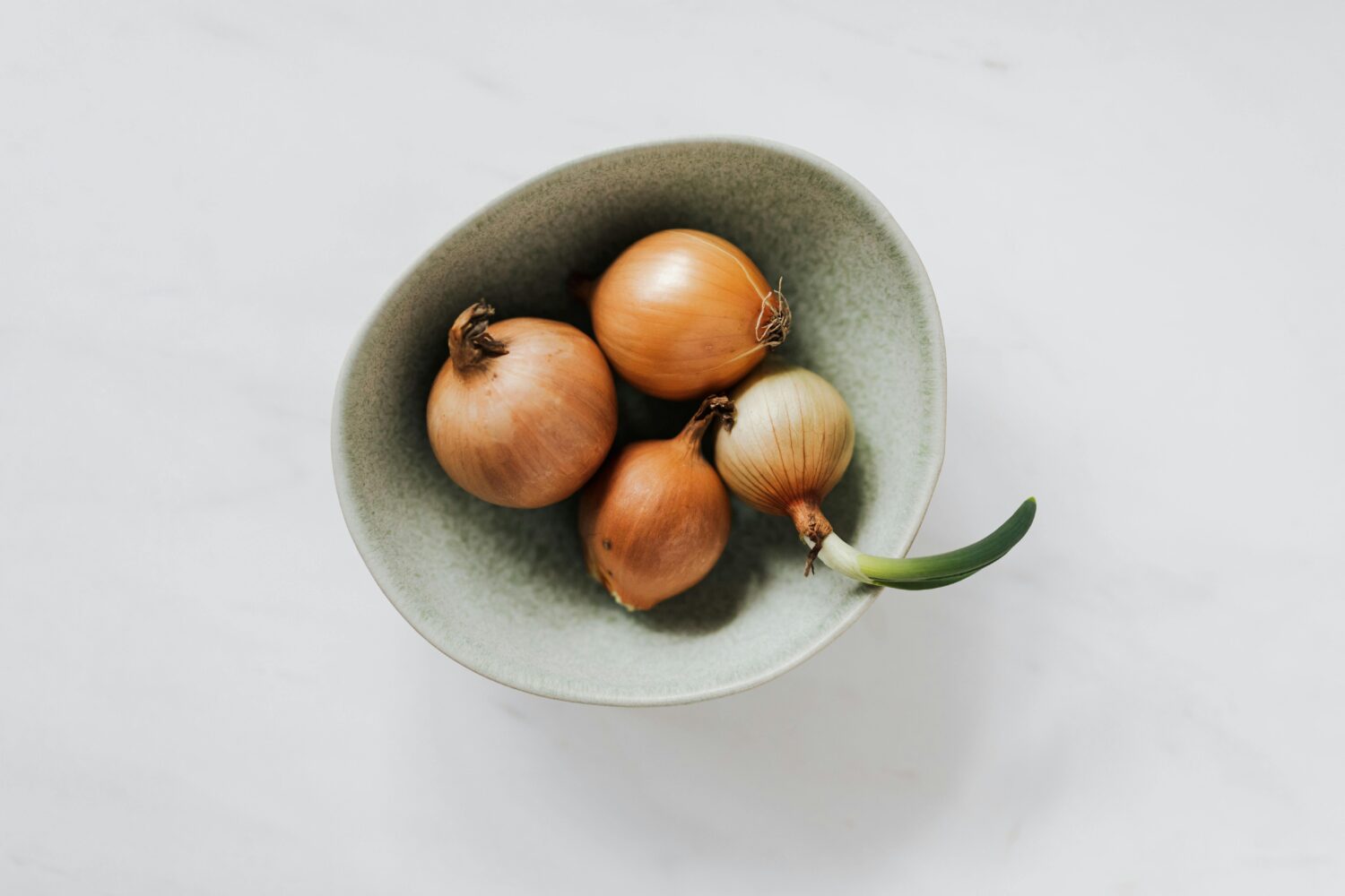 Manfaat Bawang Putih