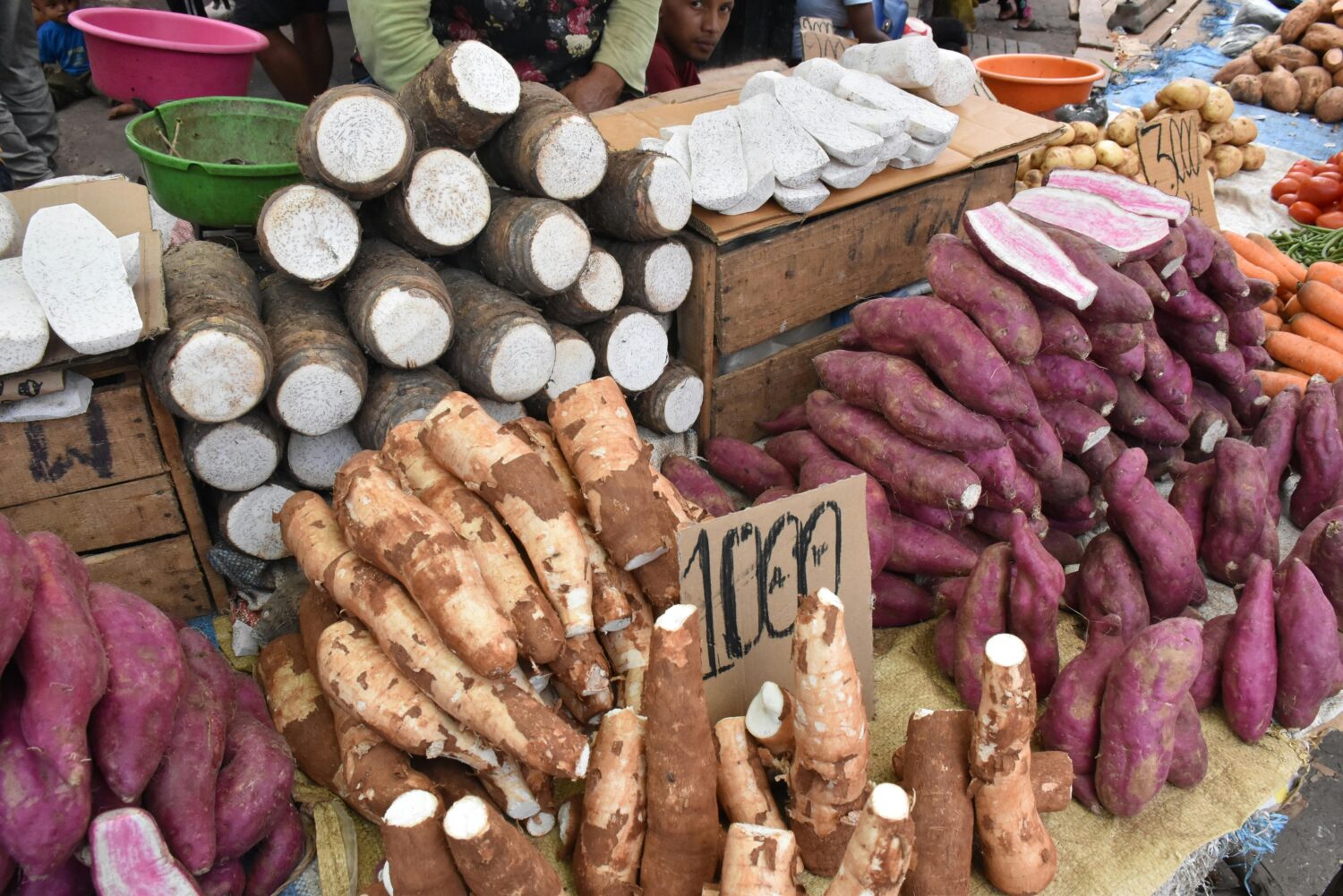 Kandungan Singkong