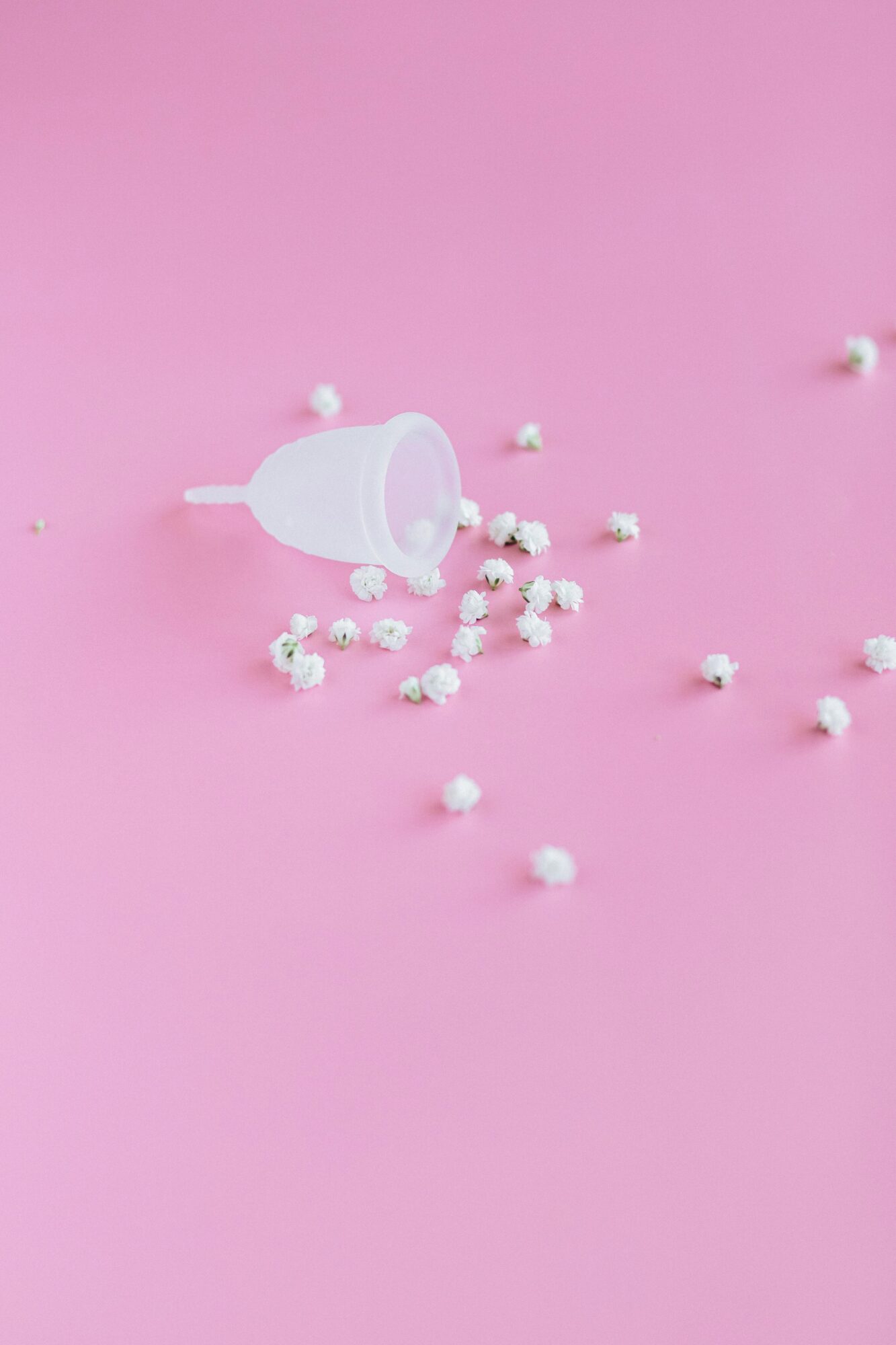 Fakta Menstruasi