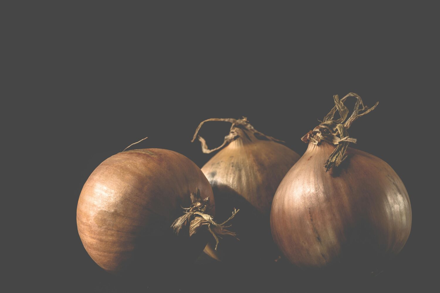 Kandungan Bawang