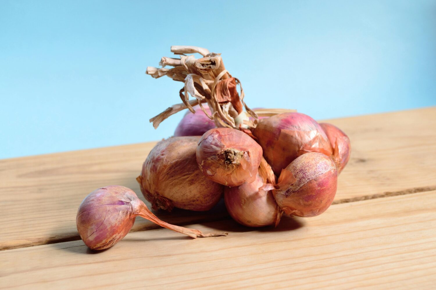Manfaat Bawang