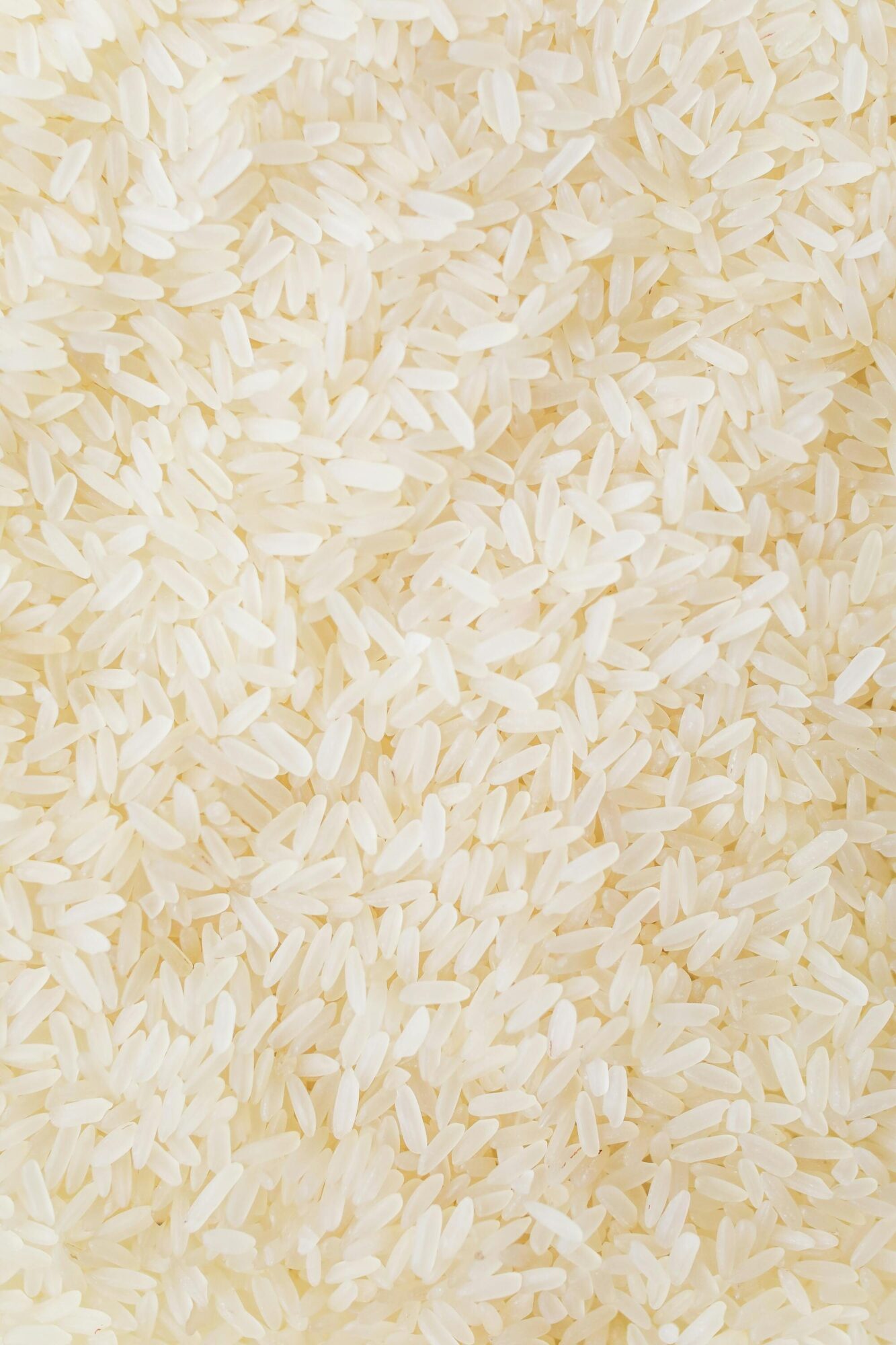 Kandungan Nasi