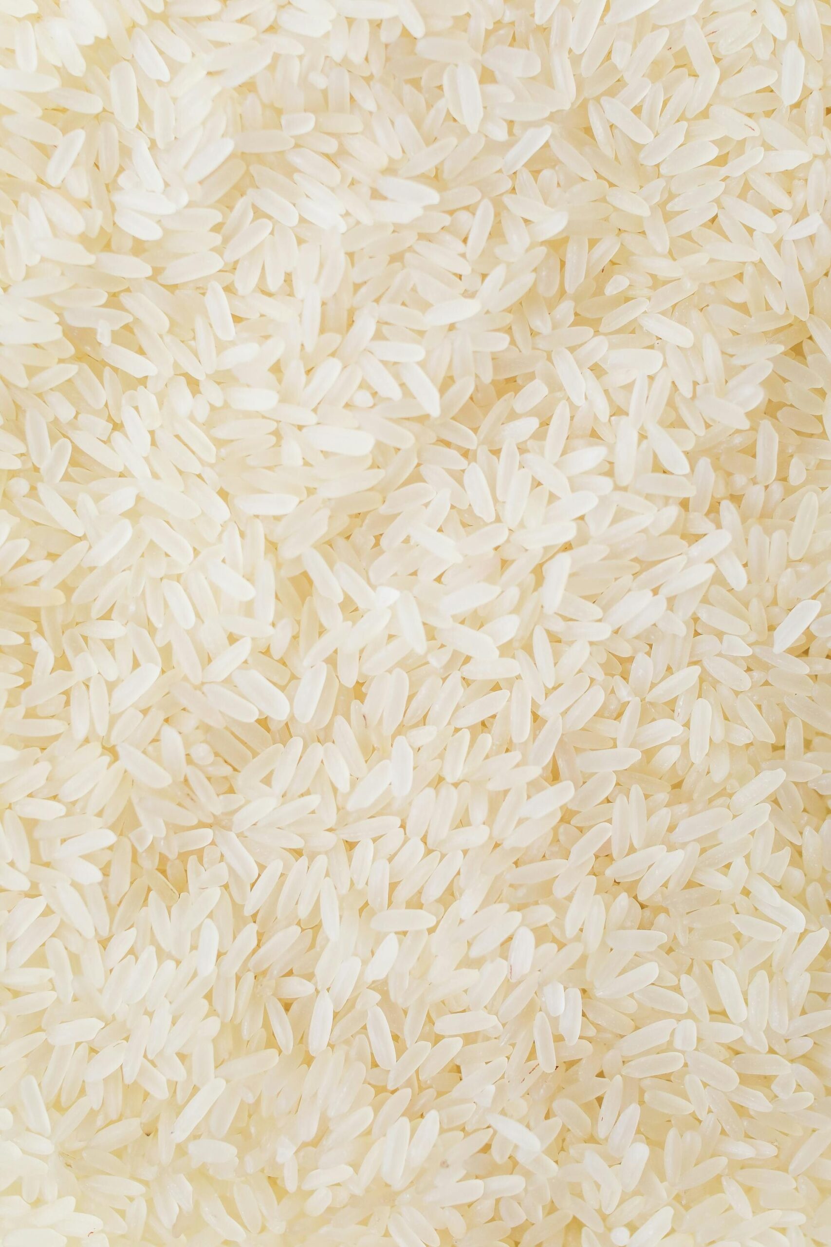 Kandungan Nasi