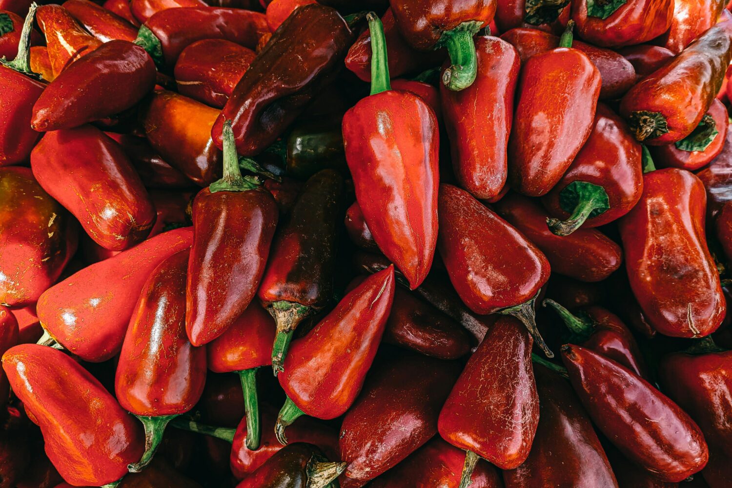 Manfaat Cabai Merah