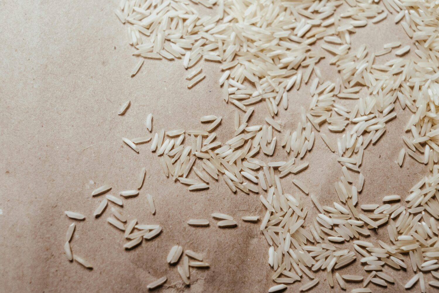 Manfaat Nasi