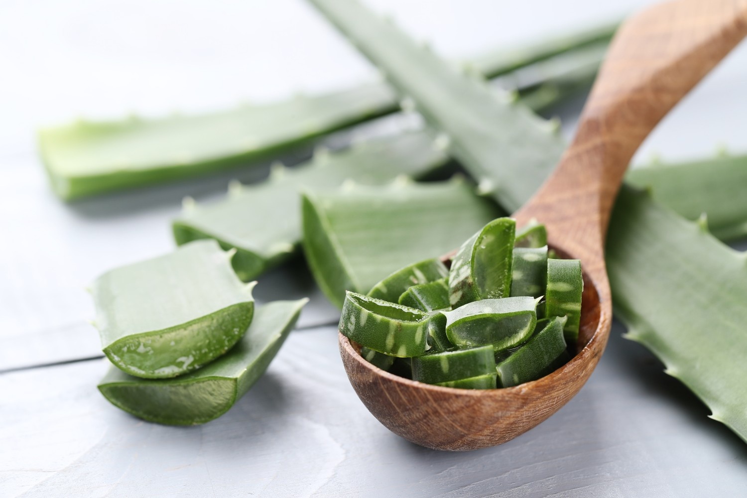 10 Tips Perawatan Rambut Kering Pakai Lidah Buaya