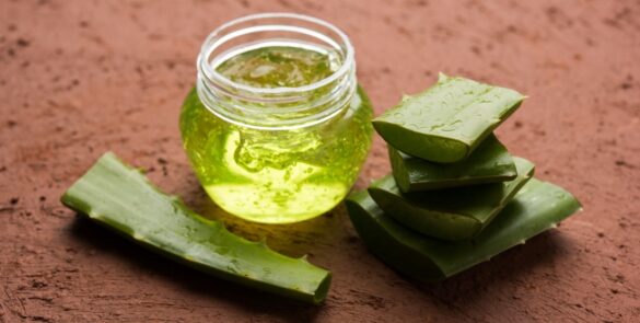 10 Resep Scrub Wajah Alami dari Lidah Buaya yang Bisa Kamu Coba di Rumah