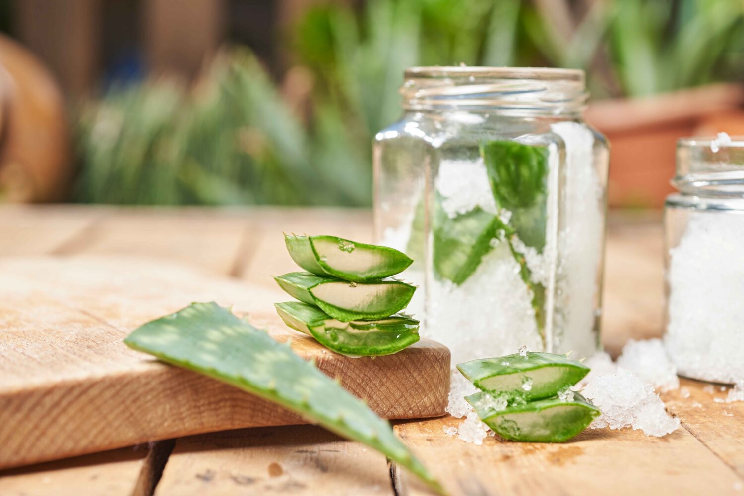 8 Cara Membuat Hair Tonic Lidah Buaya untuk Mengatasi Rambut Rontok