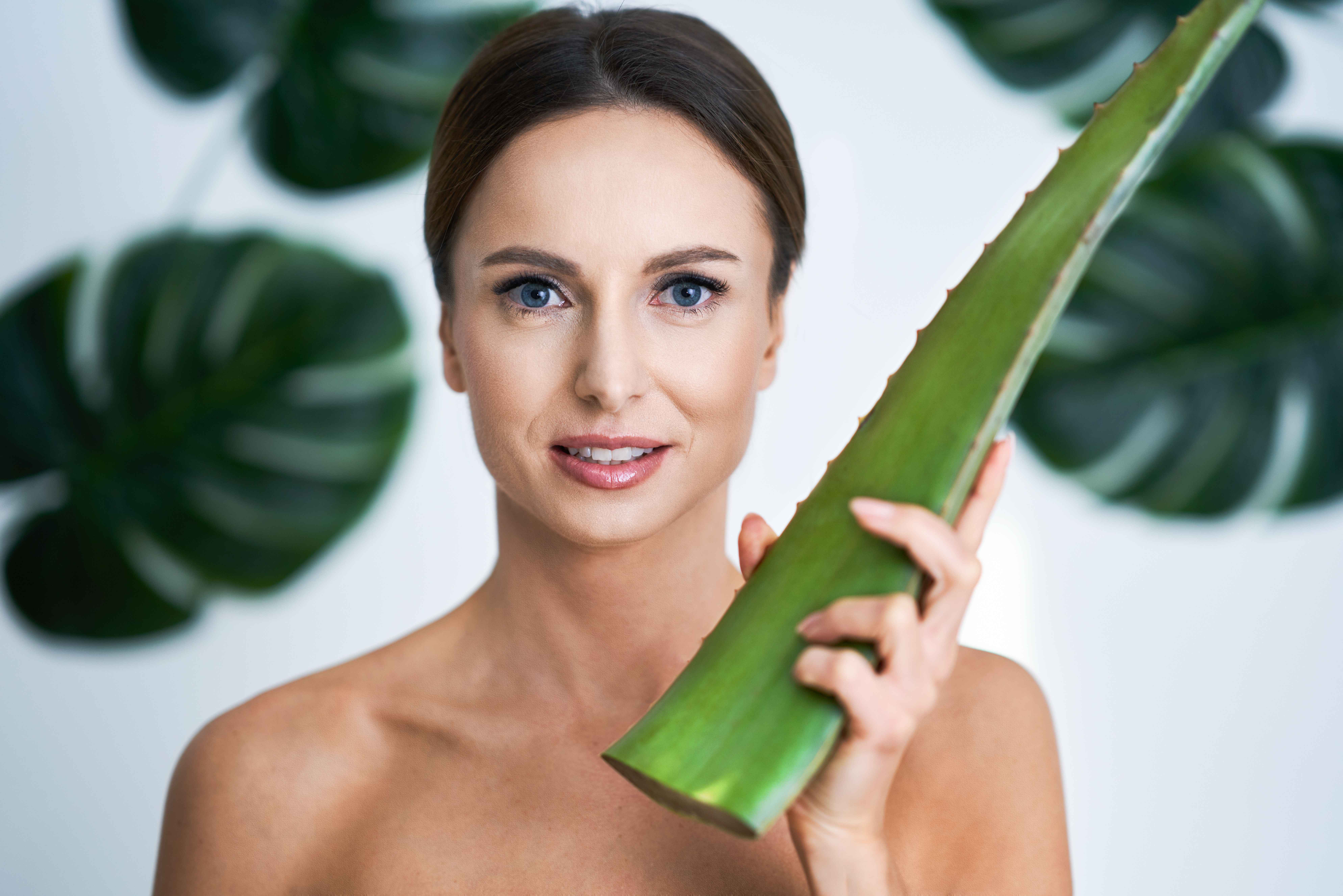 6 Cara Membuat Leave-in Conditioner dari Lidah Buaya