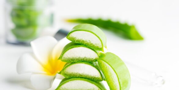 10 Tips Perawatan Rambut Kering Pakai Lidah Buaya