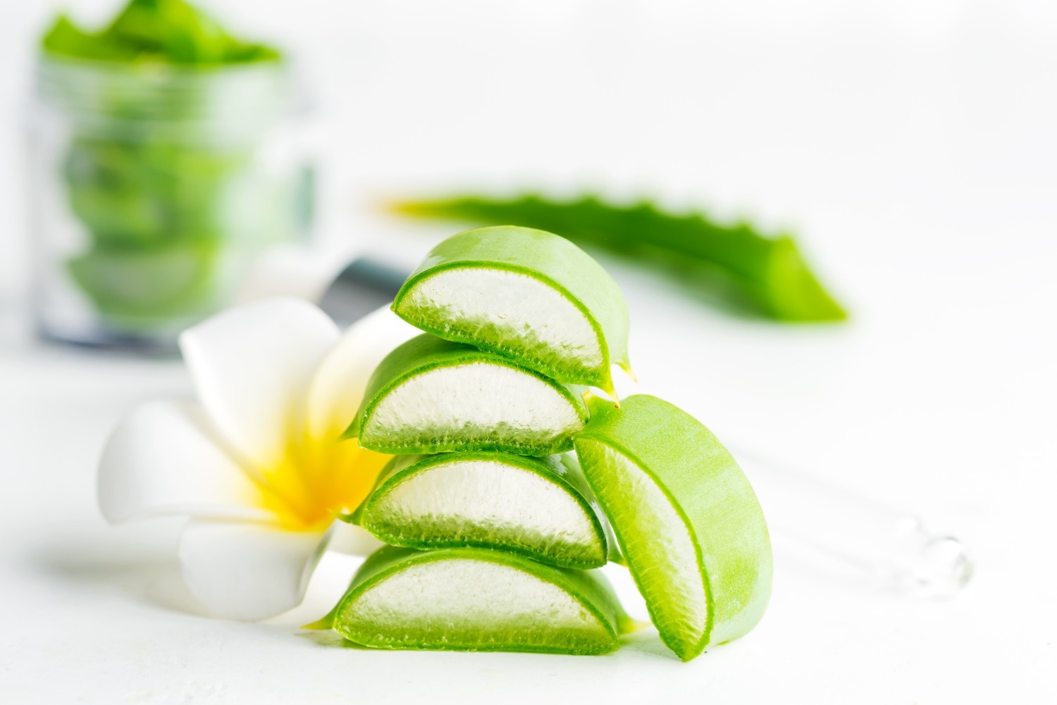 10 Tips Perawatan Rambut Kering Pakai Lidah Buaya