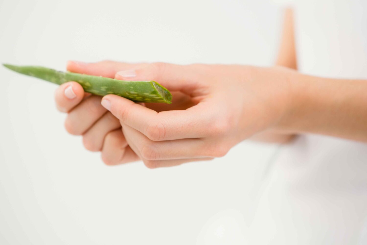 8 Cara Membuat Sabun Mandi dari Lidah Buaya yang Melembapkan