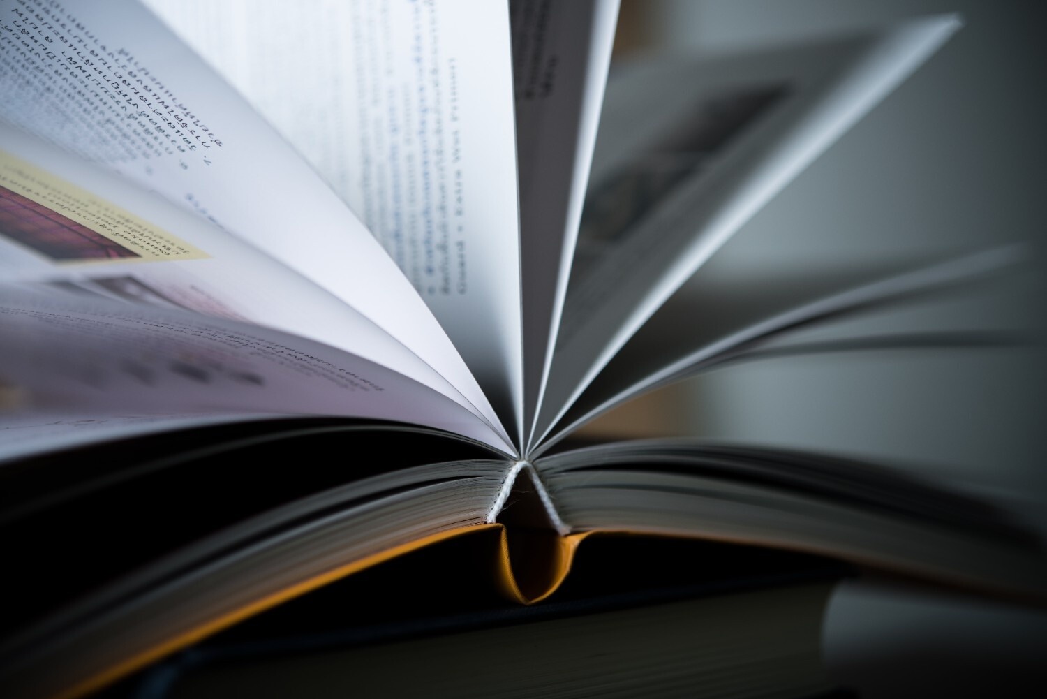 10 Buku Karya Penulis Indonesia yang Mendunia