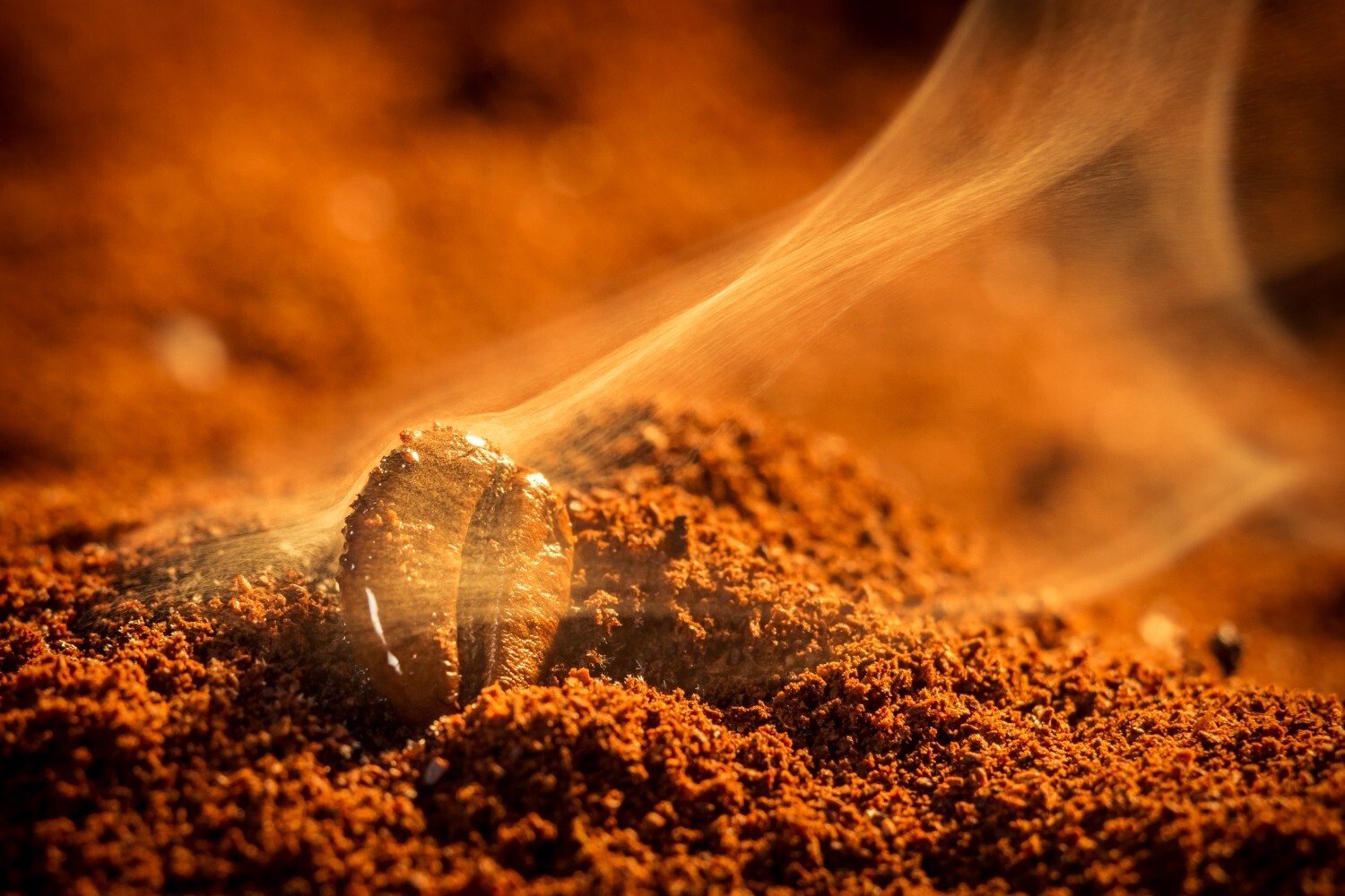 5 Mitos vs Fakta Seputar Kopi dan Kecantikan Kulit: Jangan Sampai Ketipu!