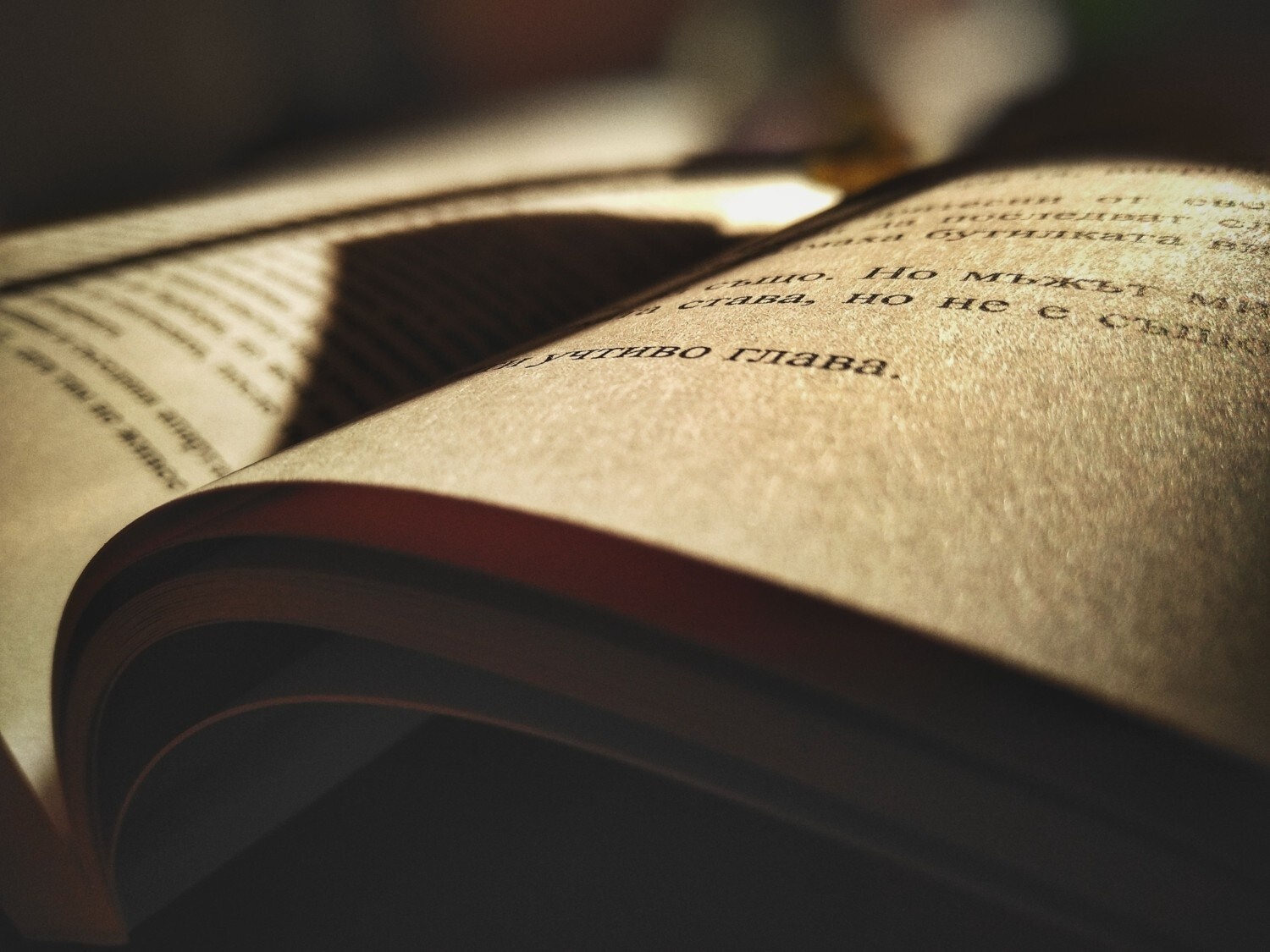 20 Buku Tentang Sejarah Dunia yang Menarik untuk Dibaca