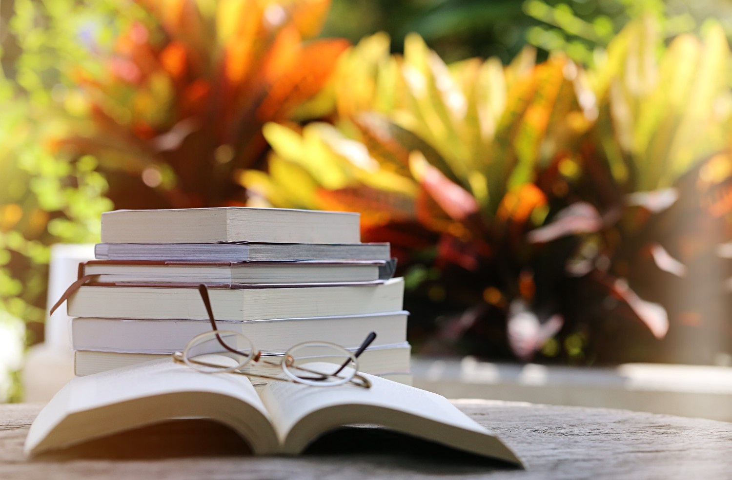 10 Buku yang Harus Dibaca Mahasiswa Sebelum Lulus