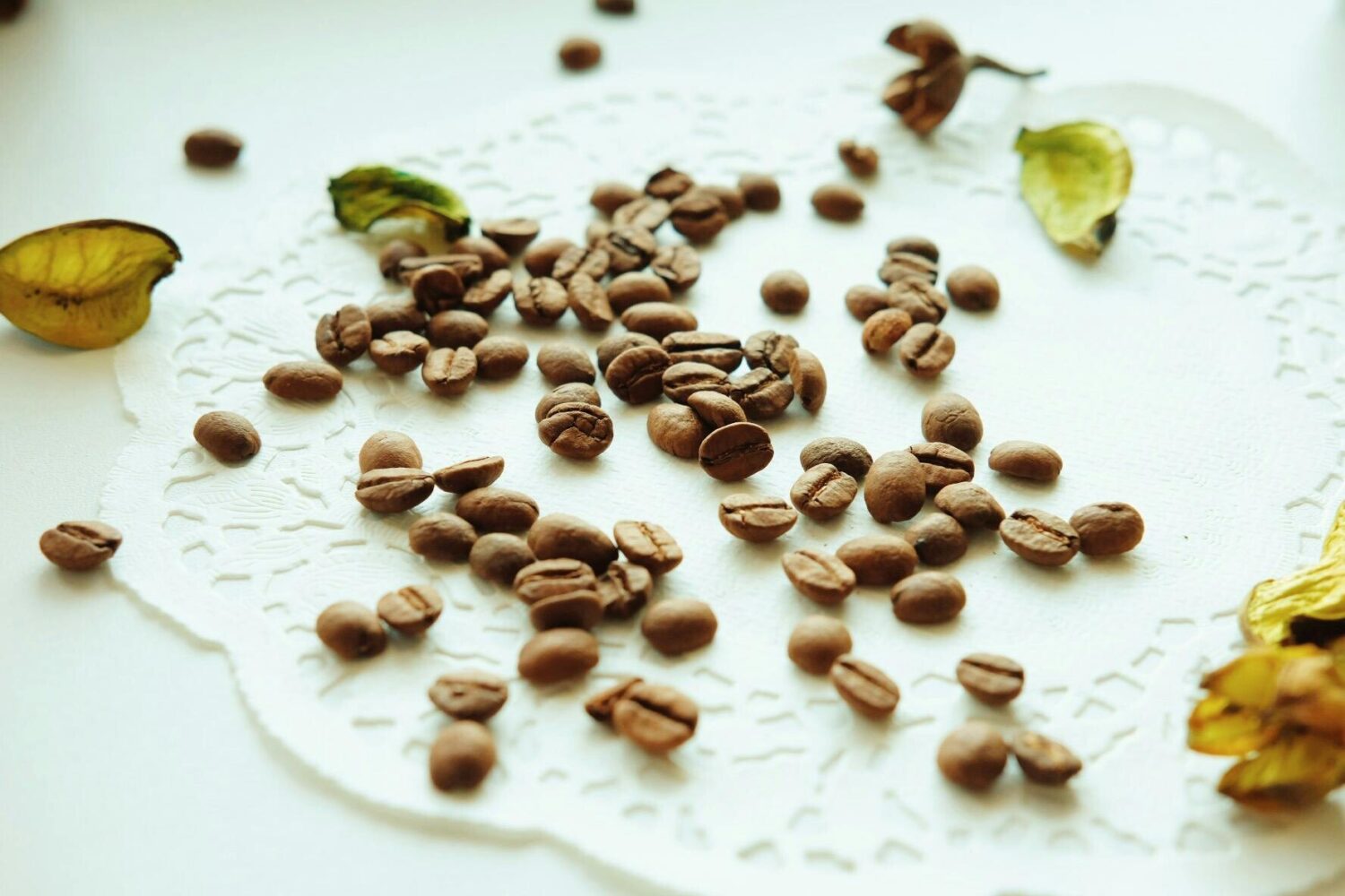 Manfaat Biji Coklat