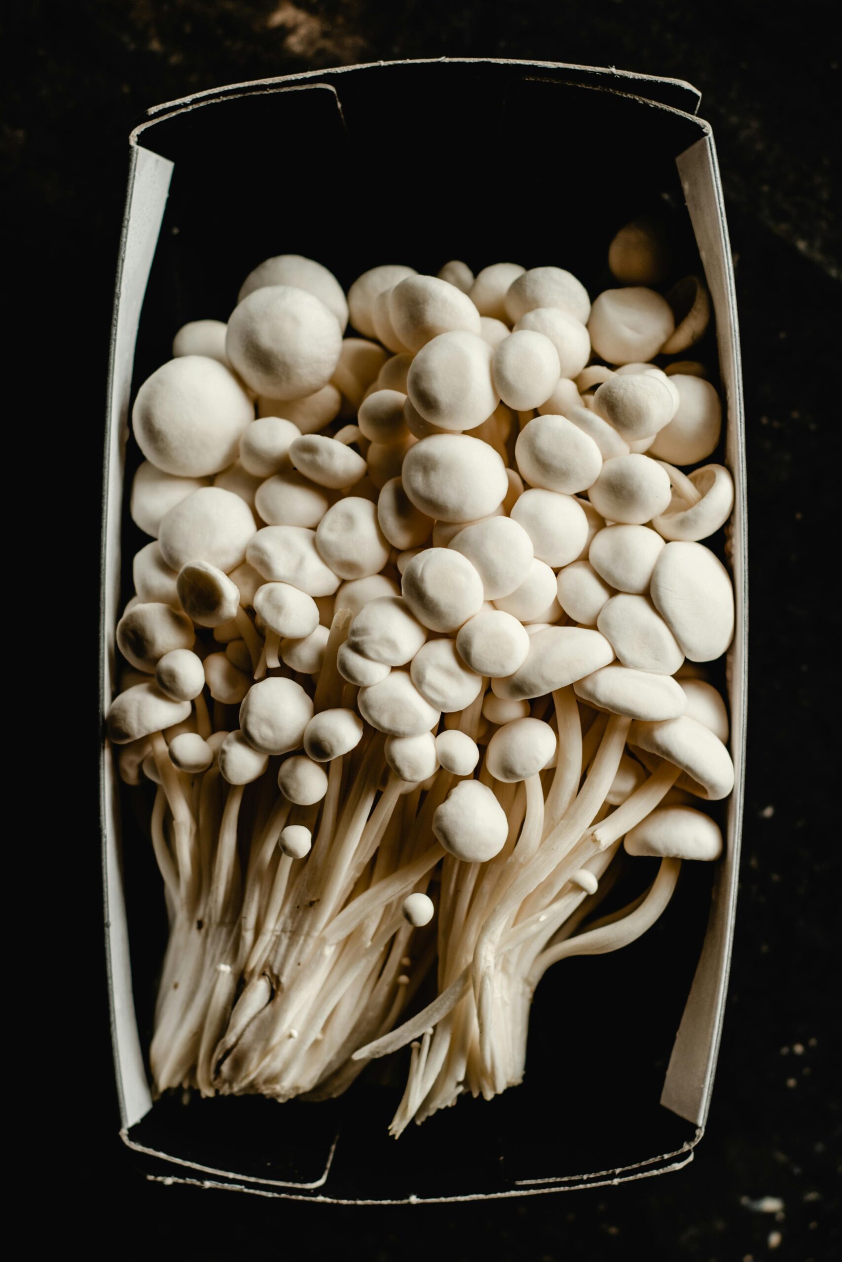 Manfaat Jamur Enoki