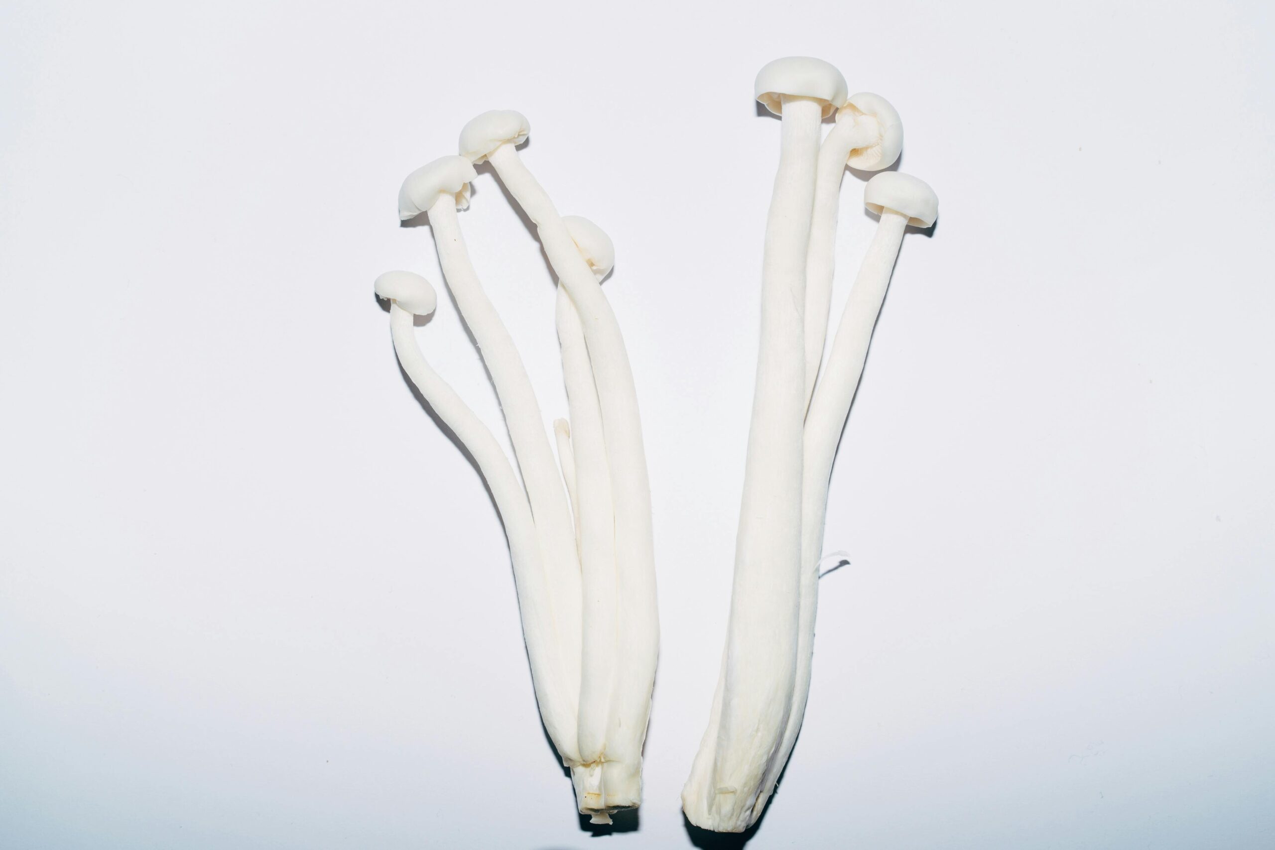 Fakta Jamur Enoki