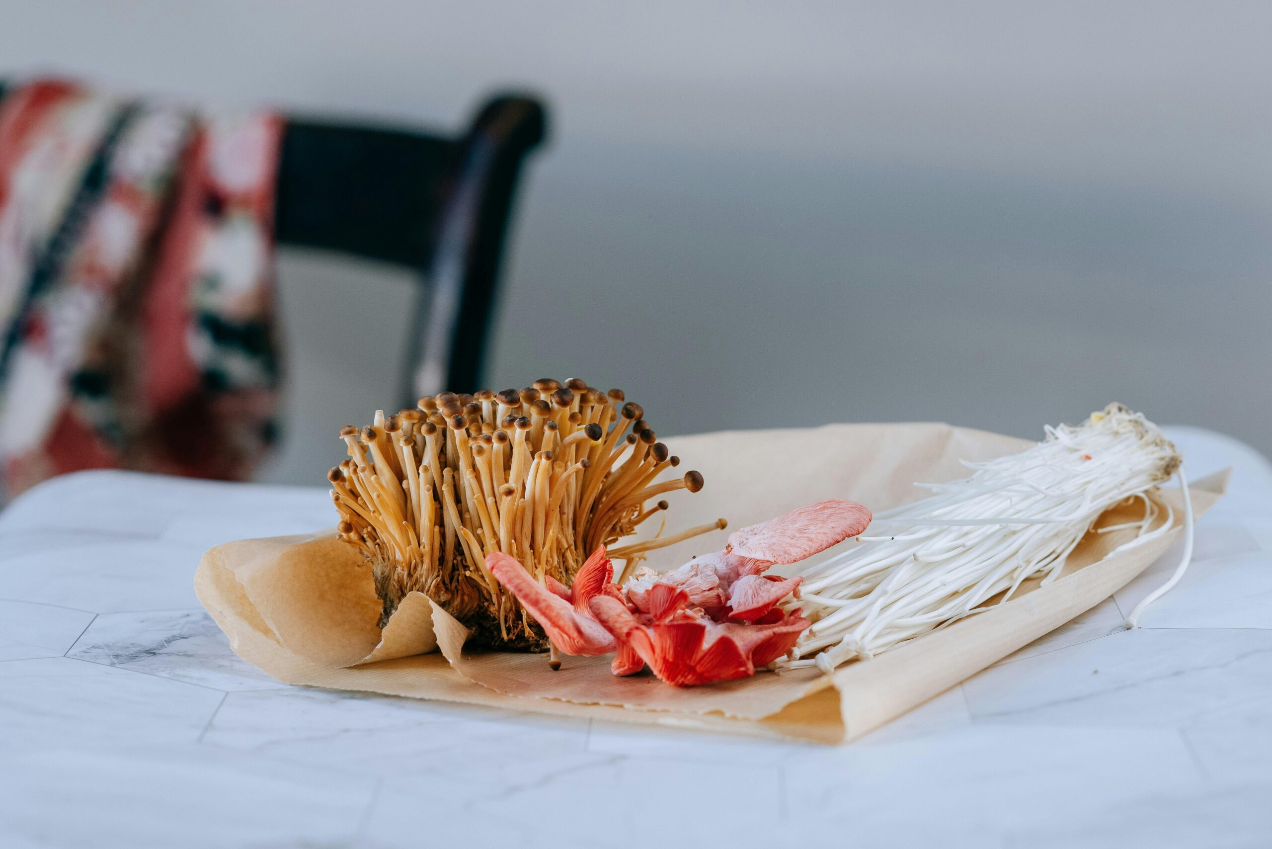Kandungan Jamur Enoki