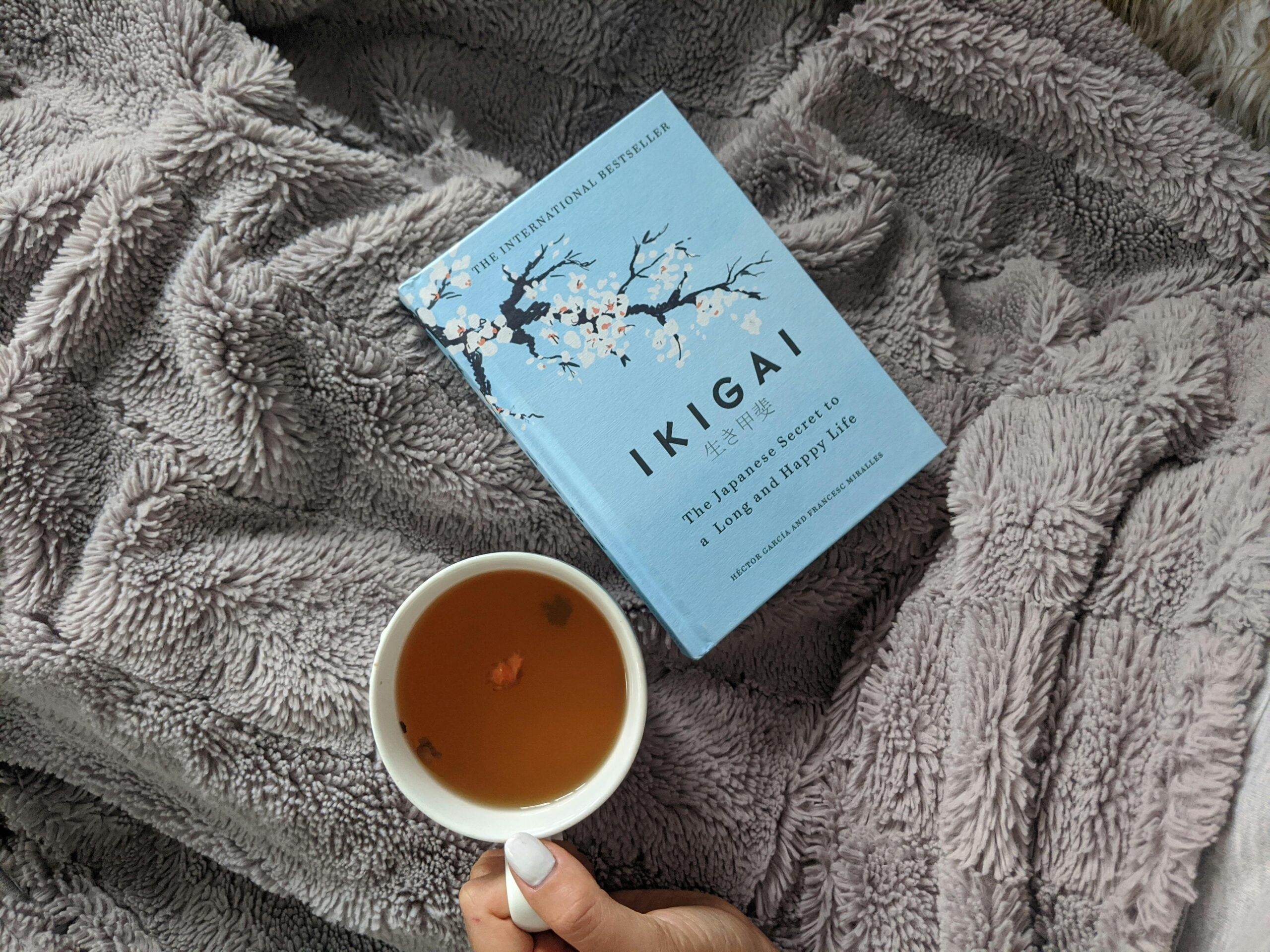 Tanda Sudah Menemukan Ikigai