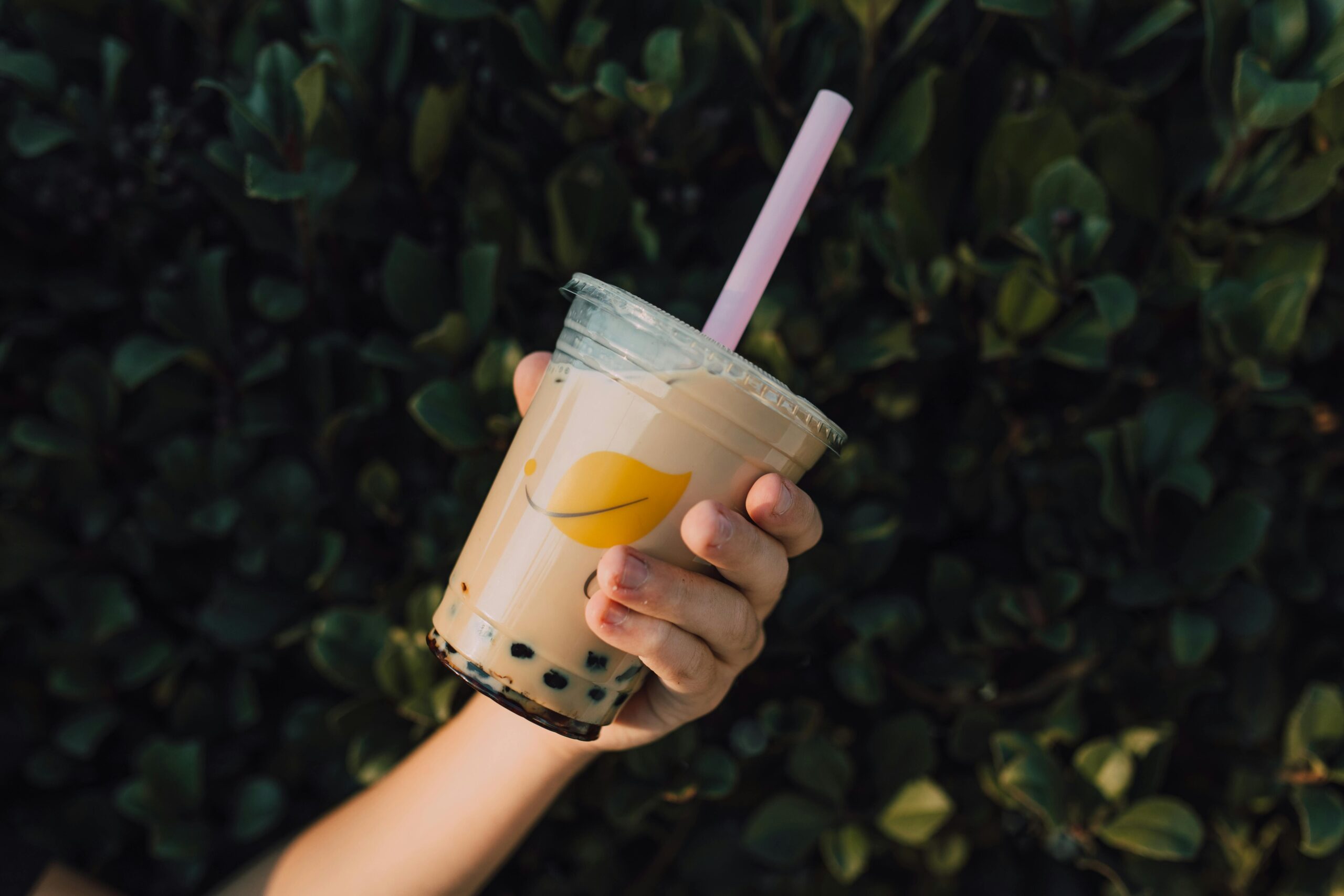 Bahaya Boba