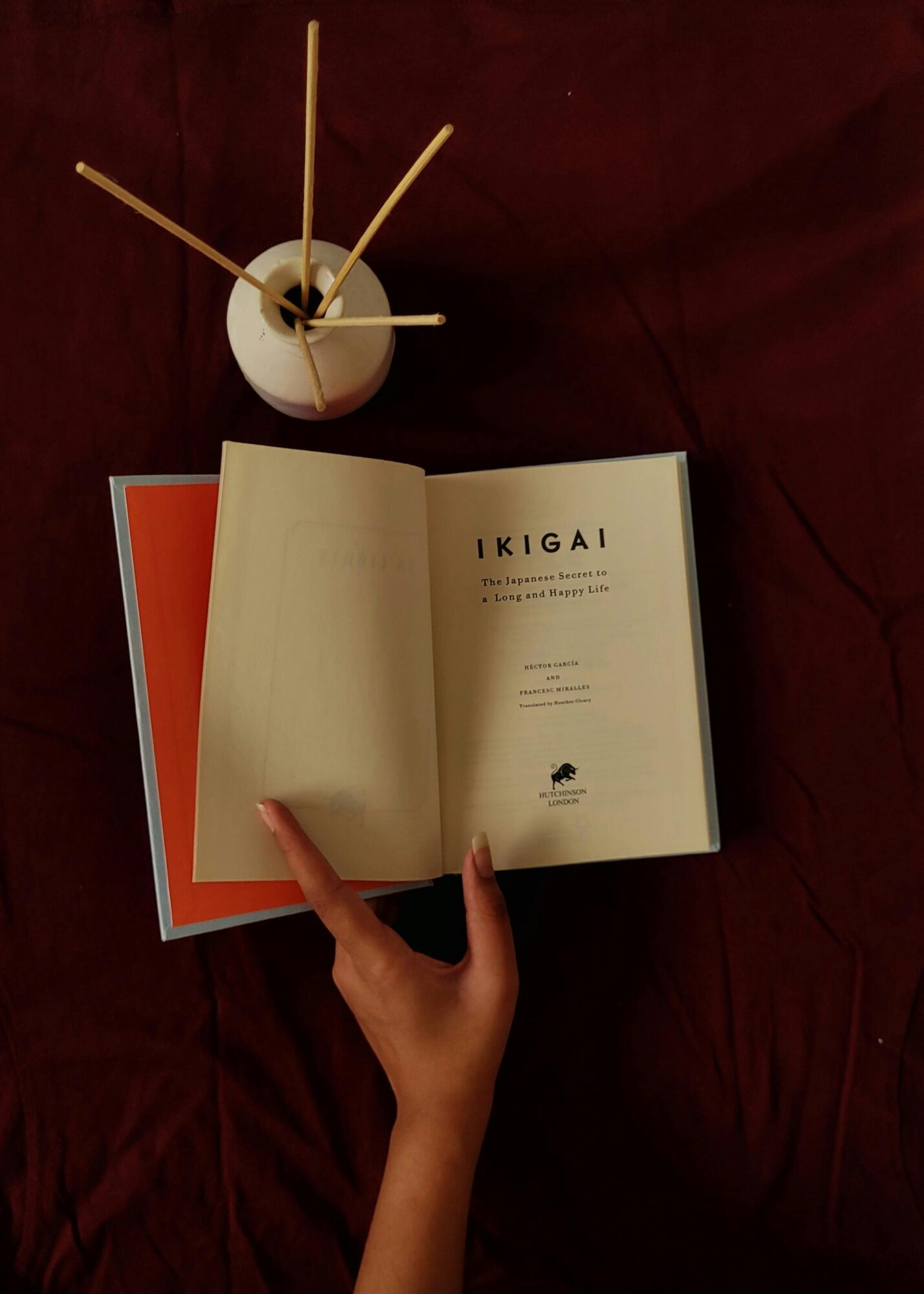 Kesalahan Mencari Ikigai