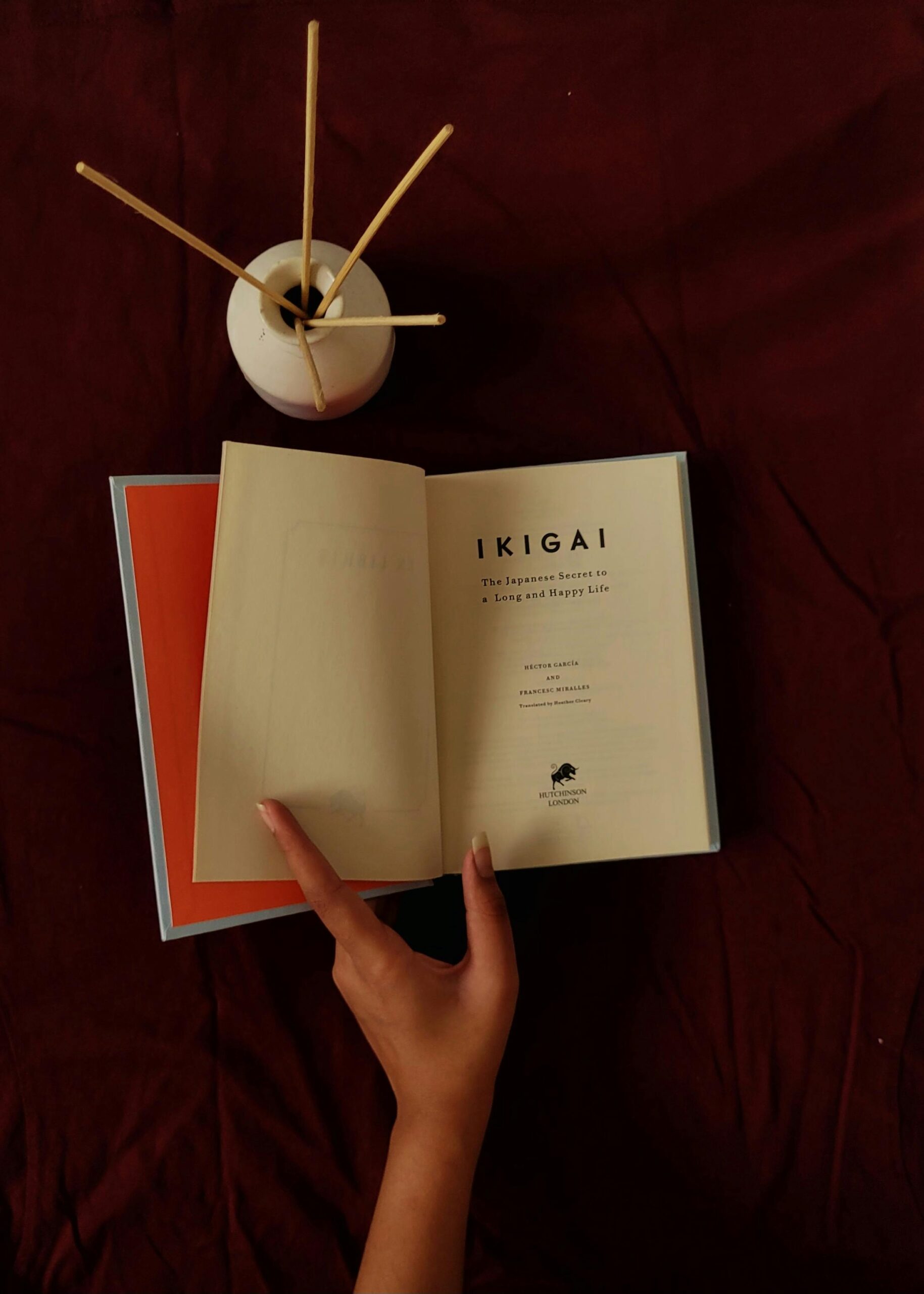 Kesalahan Mencari Ikigai