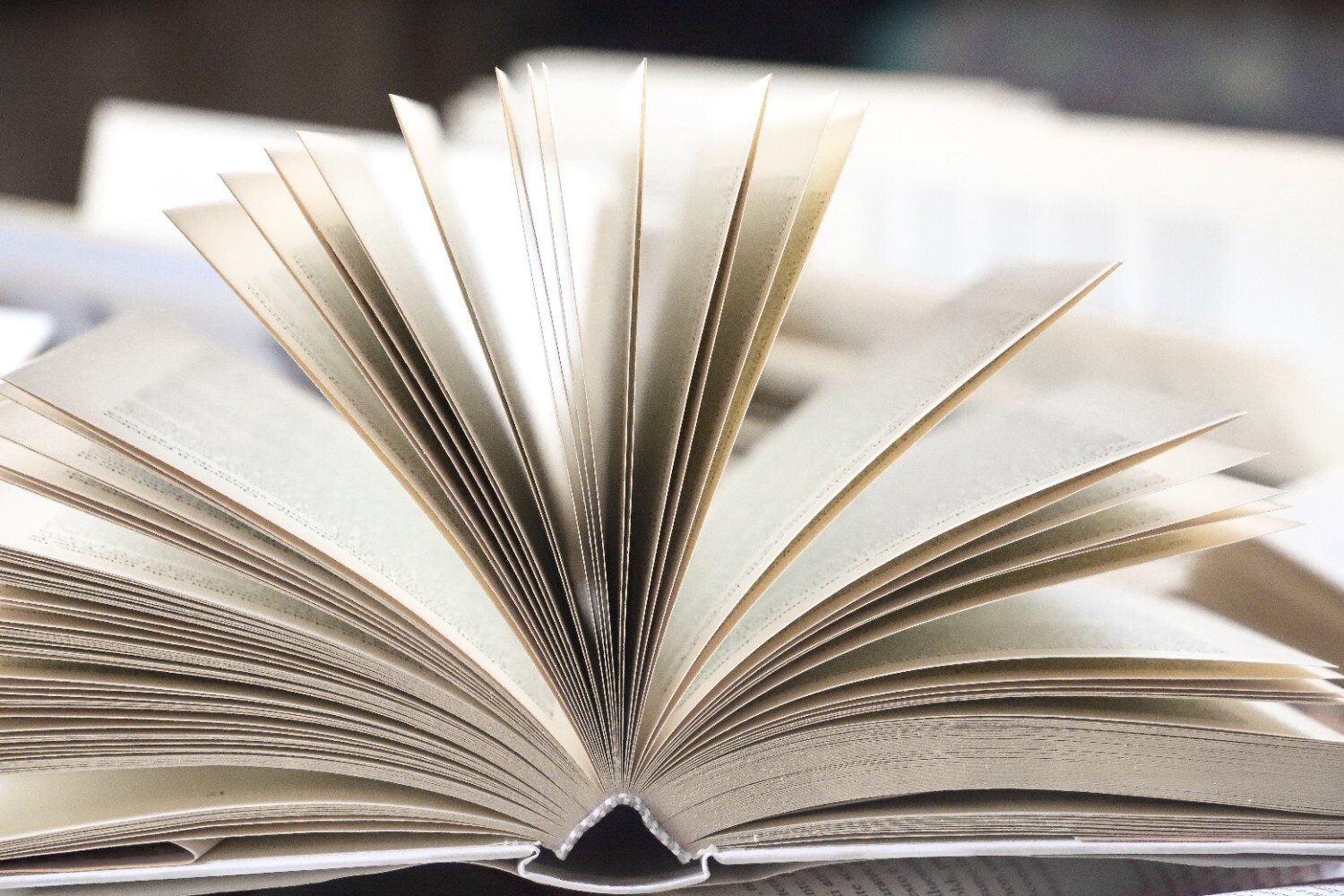 10 Buku Karya Penulis Indonesia yang Mendunia