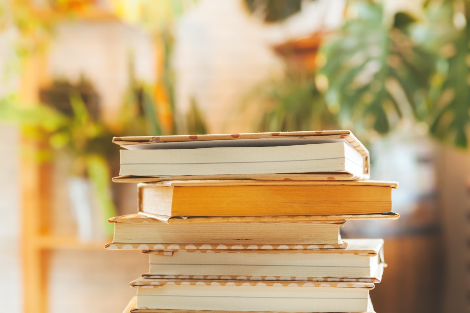 10 Buku Karya Penulis Indonesia yang Mendunia
