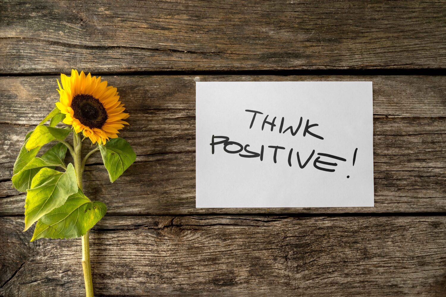 10 Cara Mengembangkan Positive Thinking lewat Materi YOTNC 15