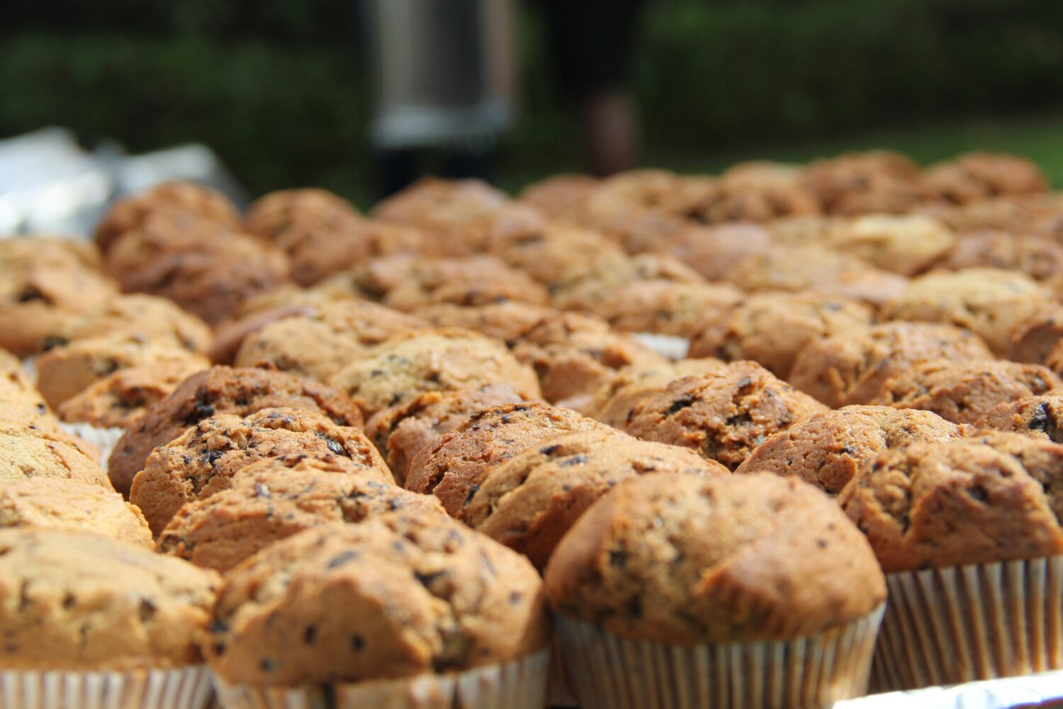10 Muffin yang Cocok untuk Menu Jualan Online