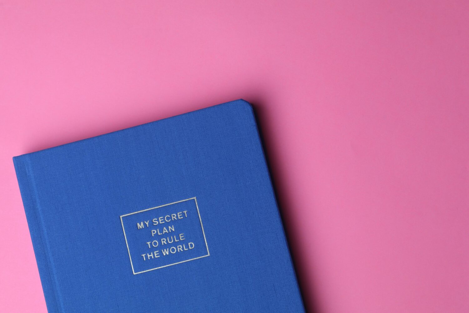 Cara Daily Journal