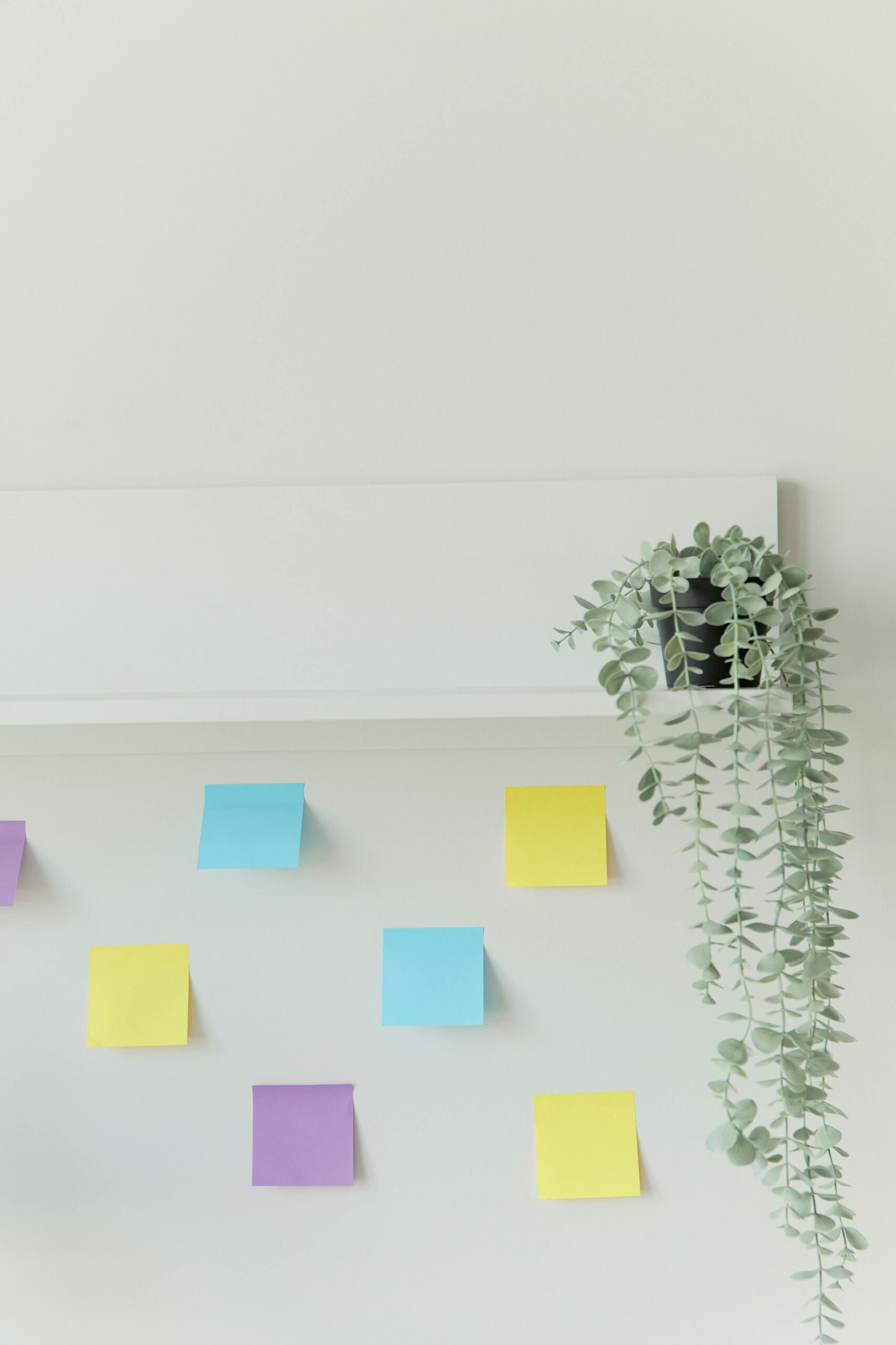 Tips Memilih Mood Board