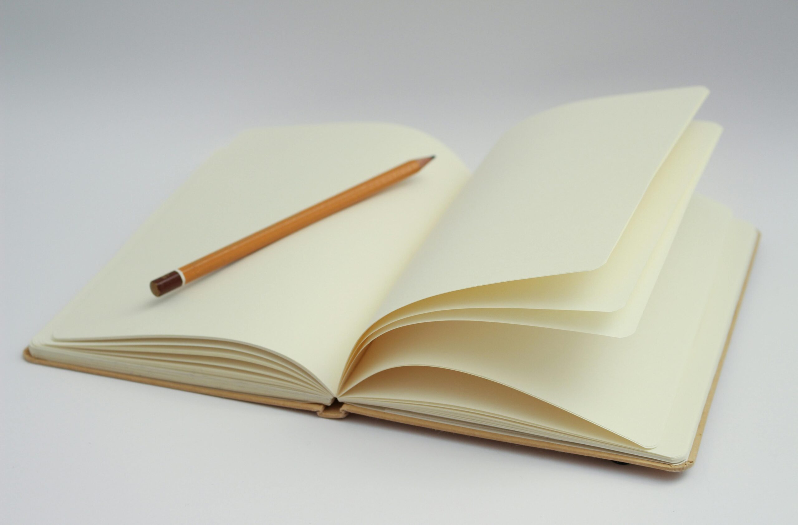 Format Jurnal Harian