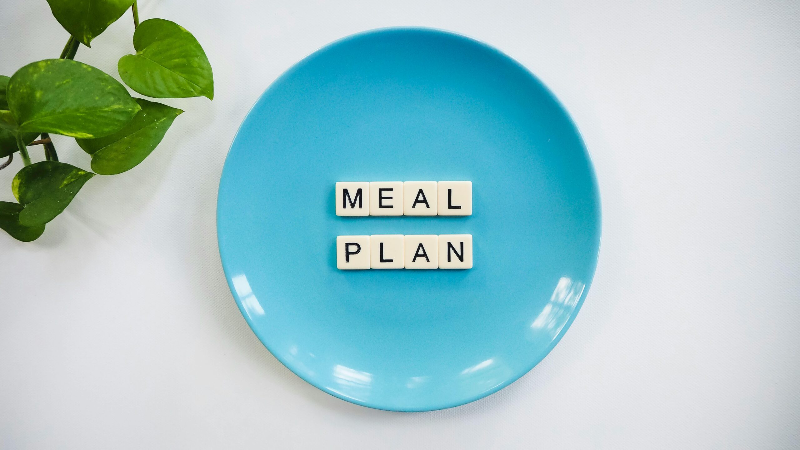Alat Dapur Meal Prep
