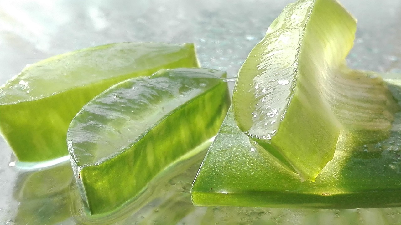 8 Cara Menggunakan Lidah Buaya untuk Mengatasi Stretch Mark