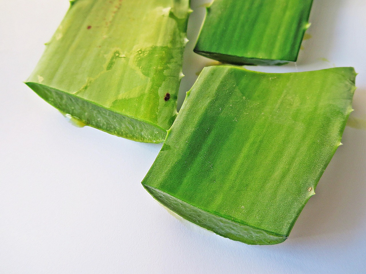 10 Produk Kecantikan Berbahan Lidah Buaya yang Wajib Dicoba