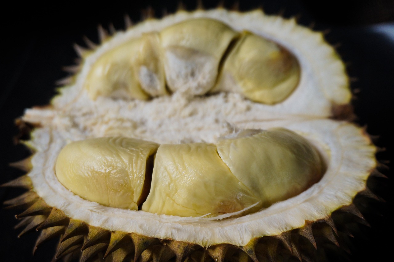 10 Alasan Kenapa Durian Disebut Raja Buah