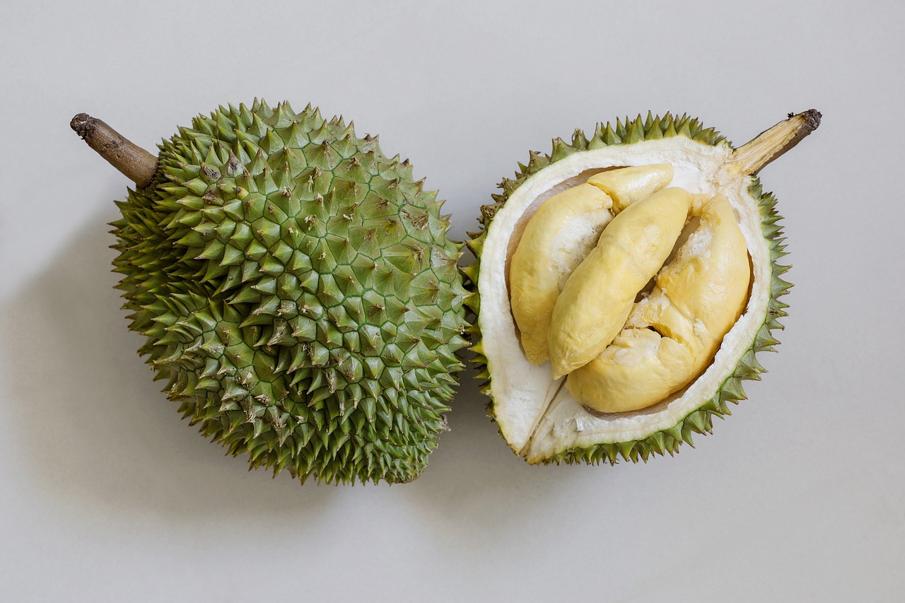 10 Alasan Kenapa Durian Disebut Raja Buah