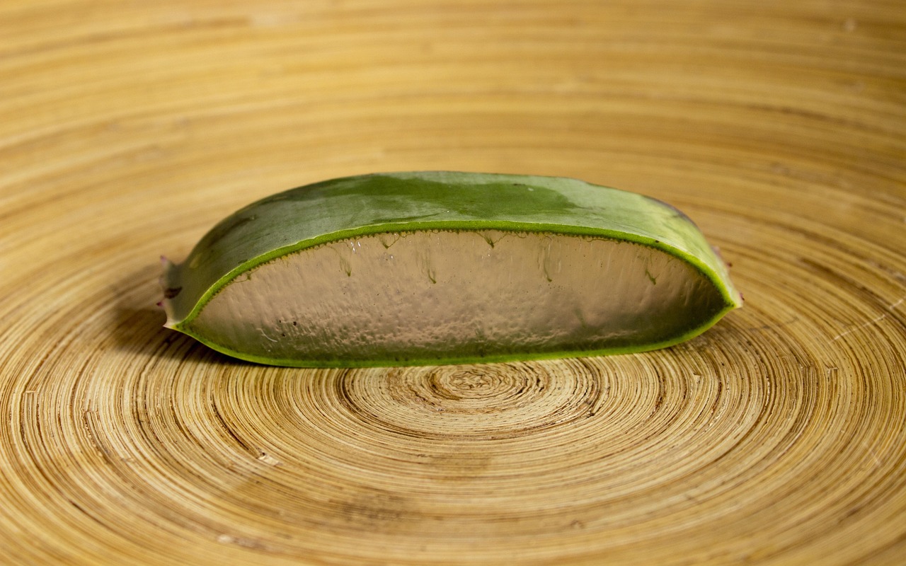 10 Produk Kecantikan Berbahan Lidah Buaya yang Wajib Dicoba