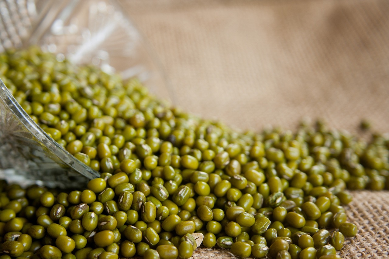 10 Inspirasi Camilan Sehat dari Kacang Hijau
