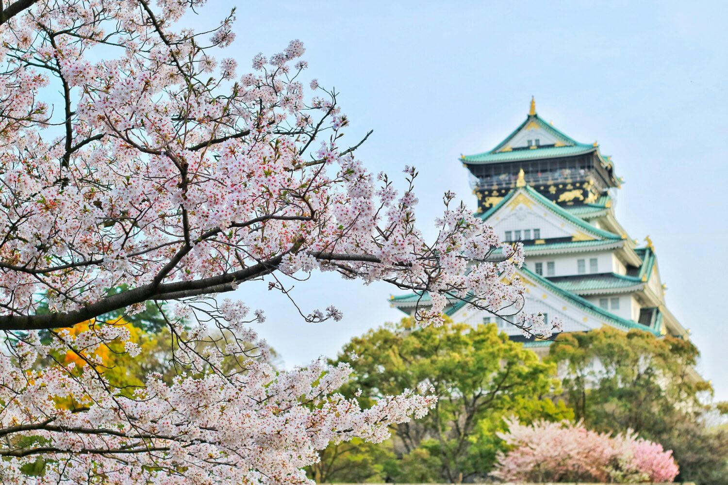 Kuliner Jepang Wajib Coba