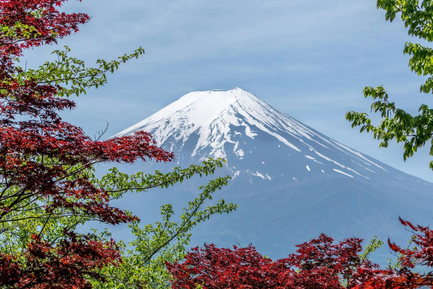 Spot Melihat Gunung Fuji