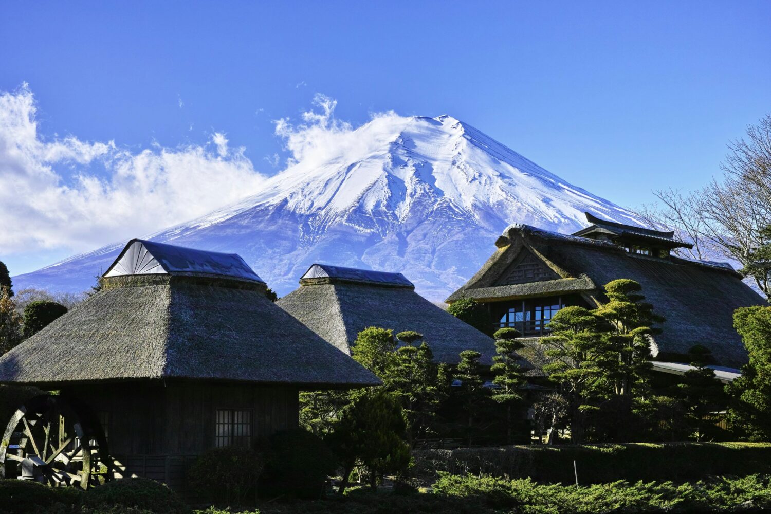Taman Bunga Terindah Jepang