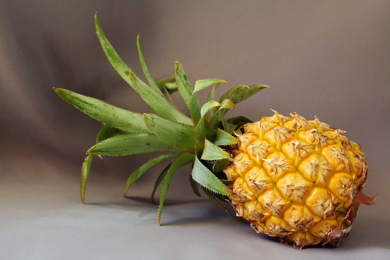 10 Fakta Unik tentang Nanas yang Jarang Orang Tahu